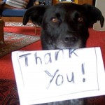 thank you from dog